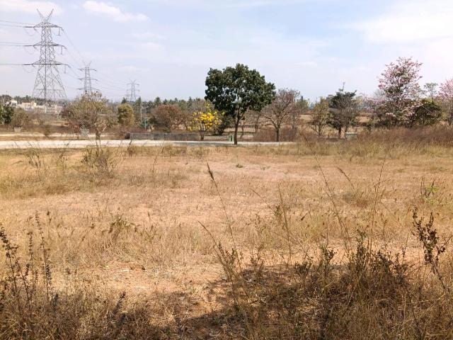 Land for sale in Karnataka