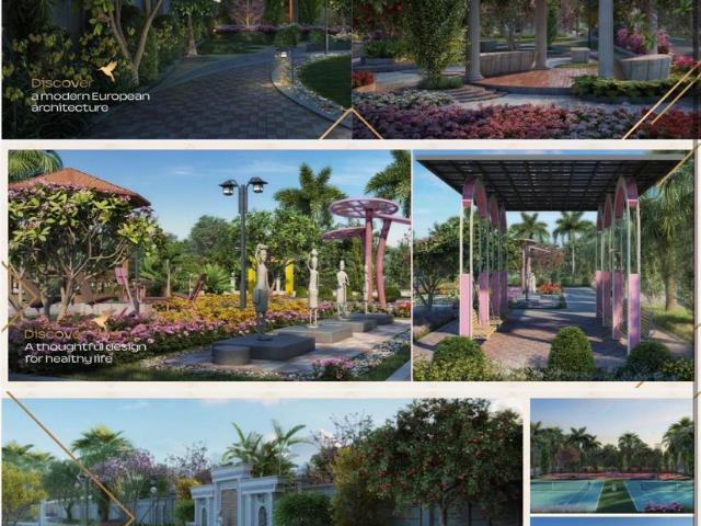 Land for sale in Madya