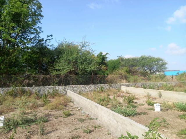 Land for sale in National Capital Territory Of Delhi