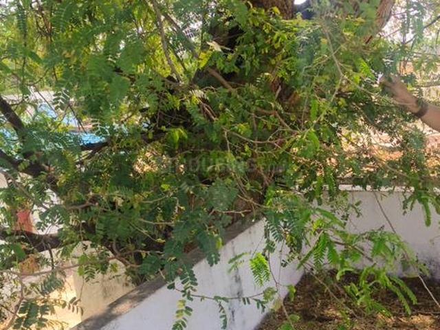 Land for sale in Bangalore East, Cox Town - Bangalore
