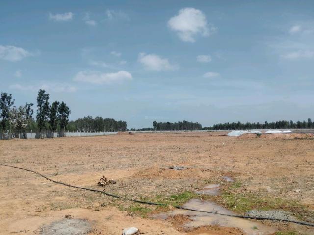 Land for sale in Hoskote, Karnataka