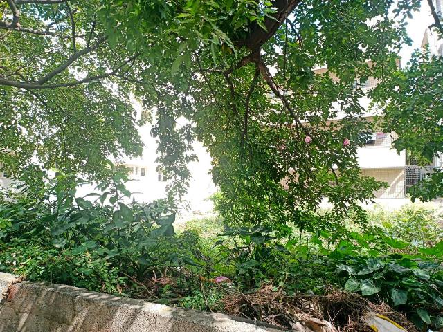 Land for sale in Bangalore South, Cox Town - Bangalore
