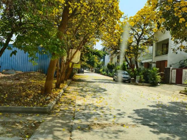 Land for sale in Bangalore South, Cox Town - Bangalore