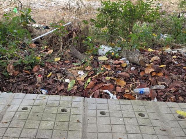 Land for sale in Bangalore South, Cox Town - Bangalore