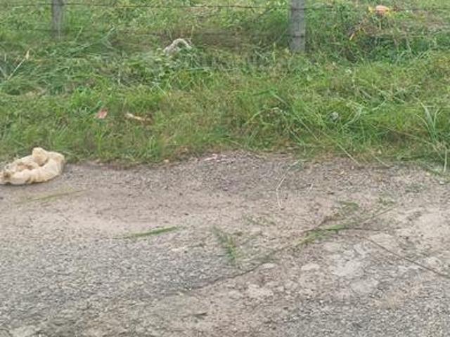 Land for sale in Hullahalli, Karnataka