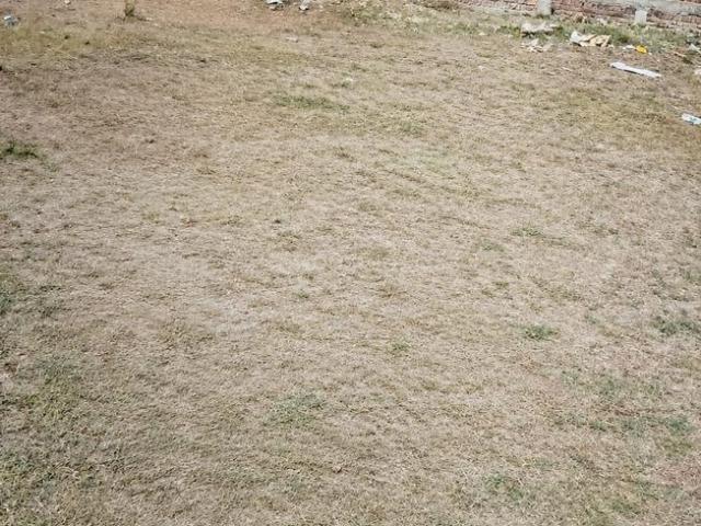 Land for sale in Madya