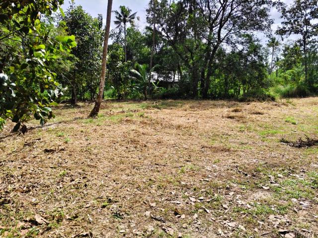 Land for sale in Irinjalakuda, Kerala