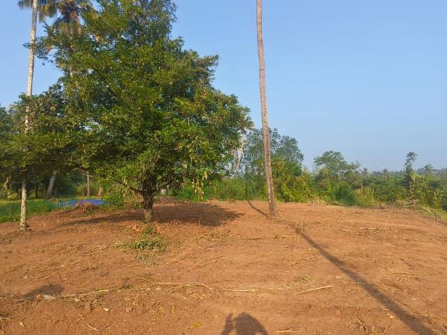 Land for sale in Irinjalakuda, Kerala