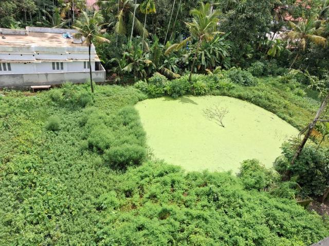 Land for sale in Irinjalakuda, Kerala