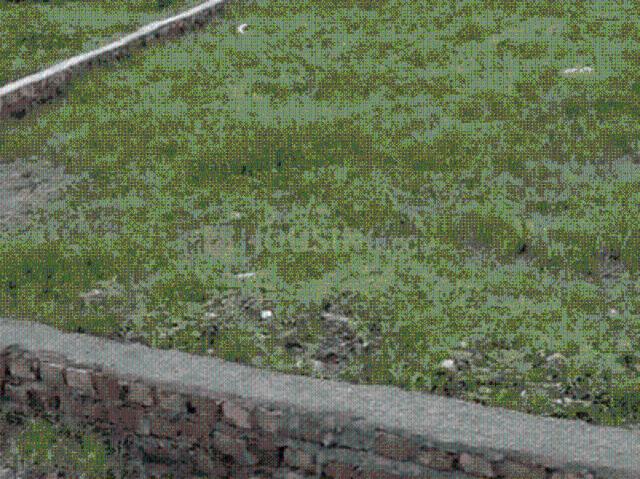 Land for sale in Kedarpur, Uttarakhand