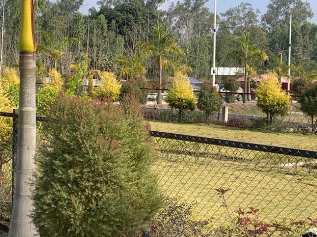 Land for sale in Kedarpur, Uttarakhand