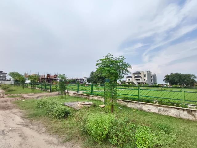 Land for sale in Matran, Punjab