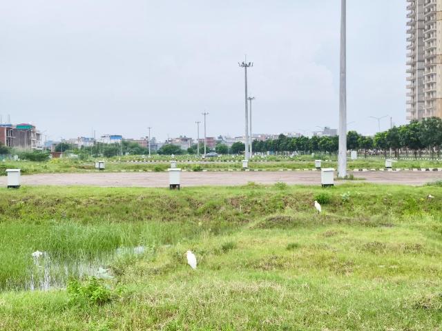 Land for sale in Matran, Punjab