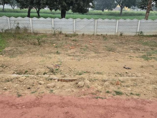 Land for sale in Tora, Arunachal Pradesh