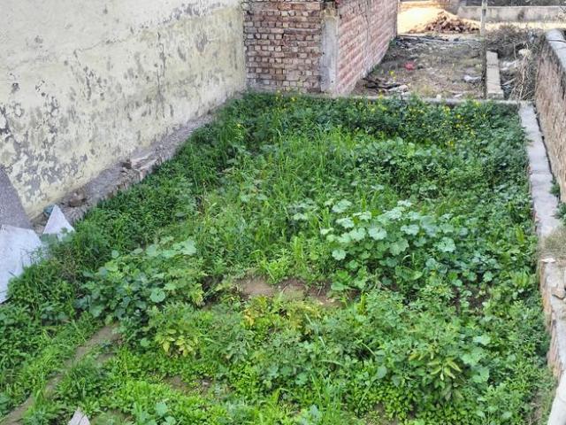 Land for sale in South West Delhi, Deri