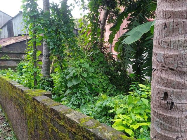 Land for sale in Bali, West Bengal
