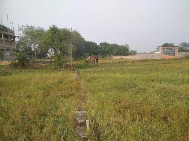 Land for sale in Jagadishpur, South 24 Parganas