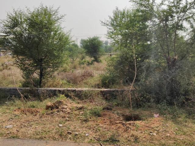 Land for sale in Pink City, Jetpur
