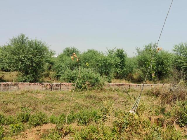 Land for sale in Pink City, Jetpur