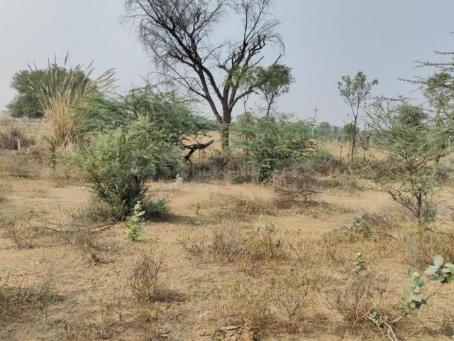 Land for sale in Pink City, Jetpur
