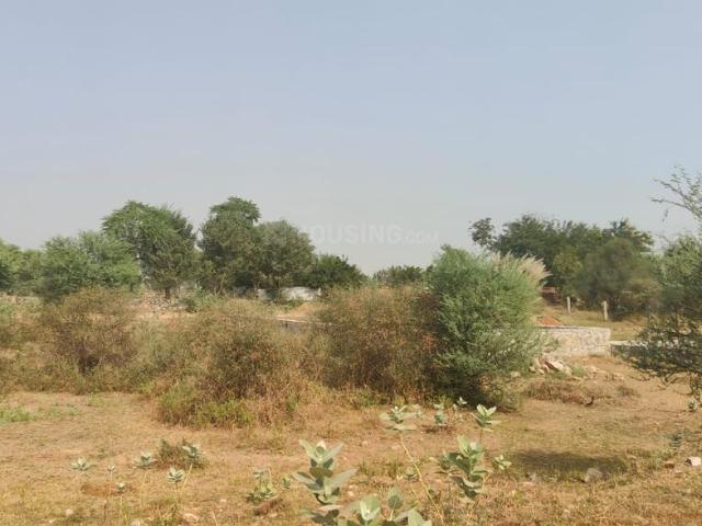 Land for sale in Jagatpura, Jaipur Municipal Corporation