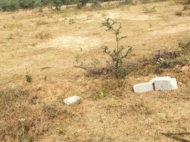 Land for sale in Pink City, Jetpur
