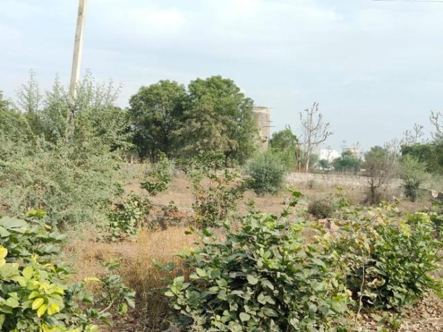 Land for sale in Pink City, Jetpur