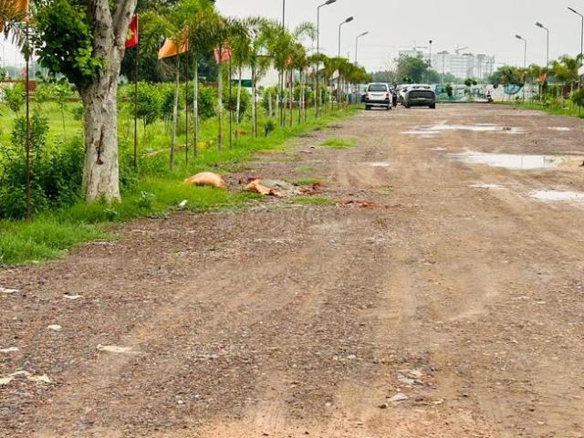 Land for sale in Mathara, Arunachal Pradesh