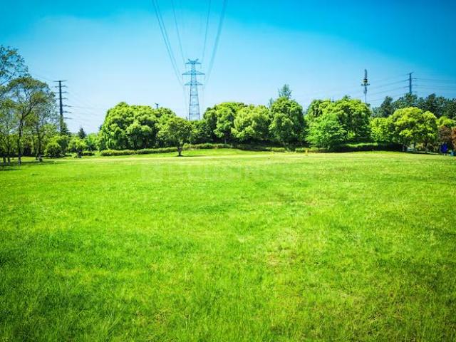 Land for sale in Mathara, Arunachal Pradesh