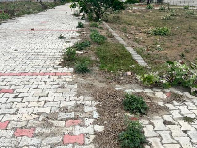 Land for sale in Mathara, Arunachal Pradesh