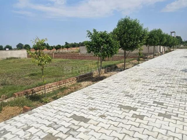 Land for sale in Mathara, Arunachal Pradesh