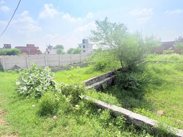 Land for sale in Mathara, Arunachal Pradesh