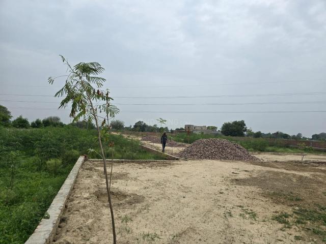Land for sale in Mathara, Arunachal Pradesh
