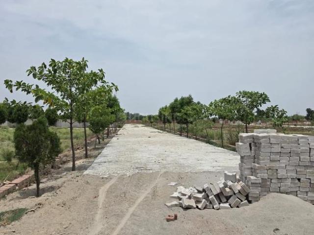 Land for sale in Mathara, Arunachal Pradesh