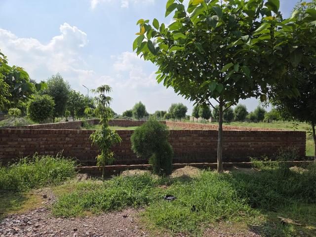 Land for sale in Mathara, Arunachal Pradesh
