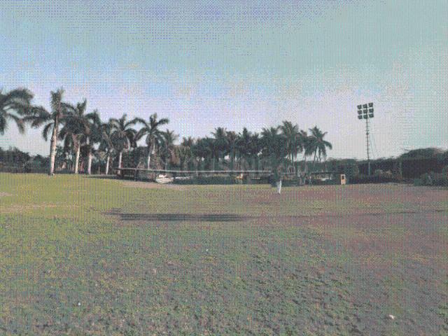 Land for sale in Jalalpore, Gujarat