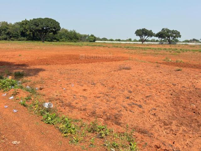 Land for sale in Jamul, Bhilai