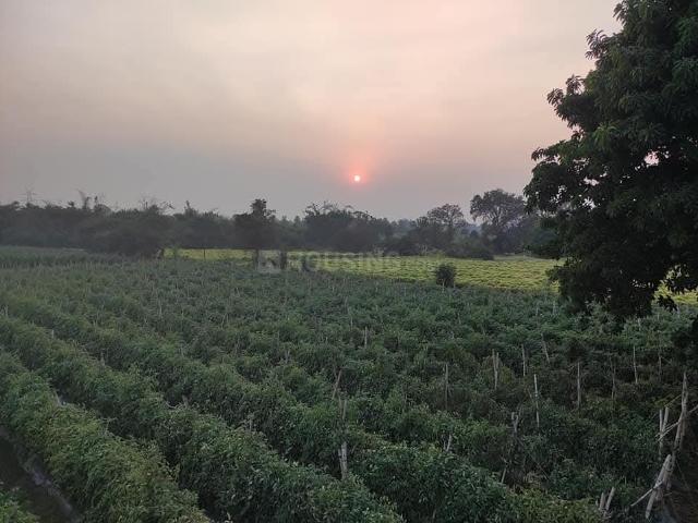 Land for sale in Raipur, Chhattisgarh