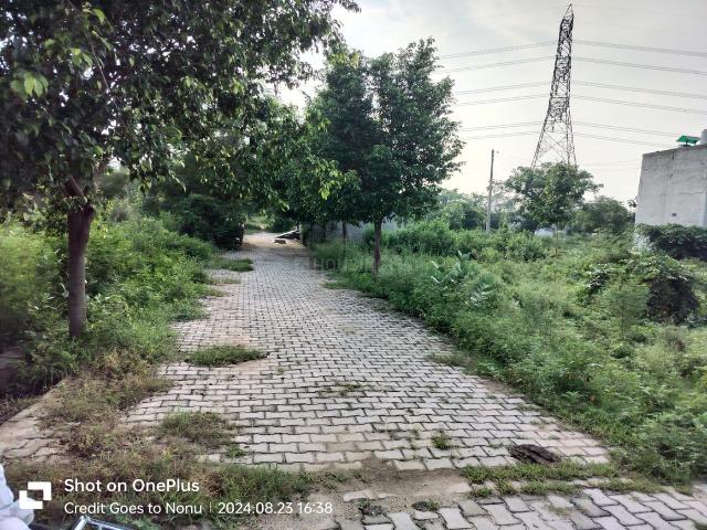 Land for sale in Hariana