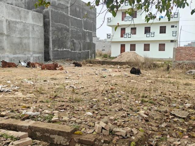Land for sale in Dadanpur, Arunachal Pradesh