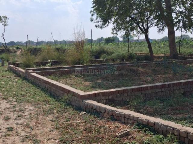 Land for sale in Dadanpur, Arunachal Pradesh