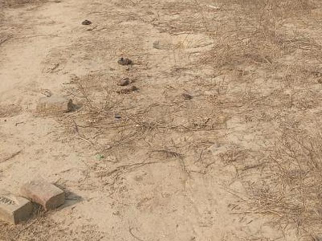 Land for sale in Dadanpur, Arunachal Pradesh
