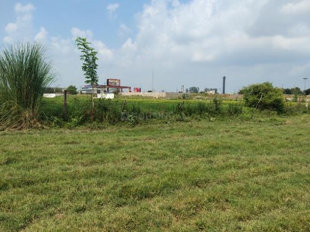 Land for sale in Jhalwa, Peepal Gaon
