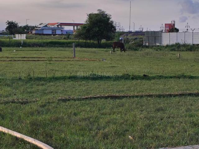 Land for sale in Jhalwa, Peepal Gaon