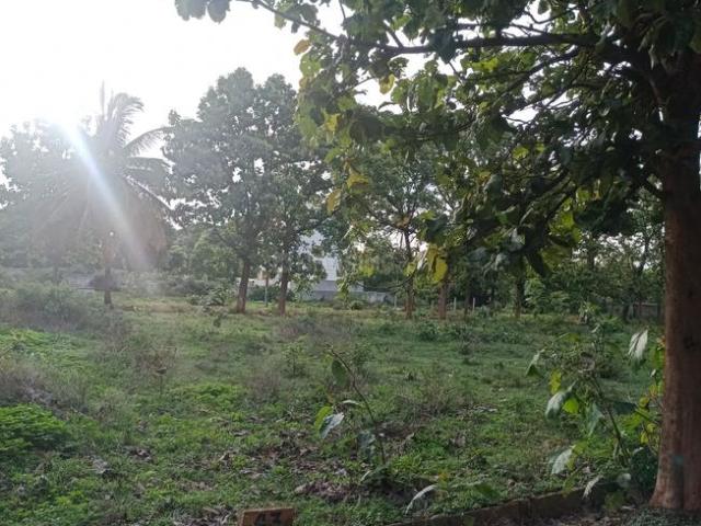 Land for sale in Jigani, Karnataka