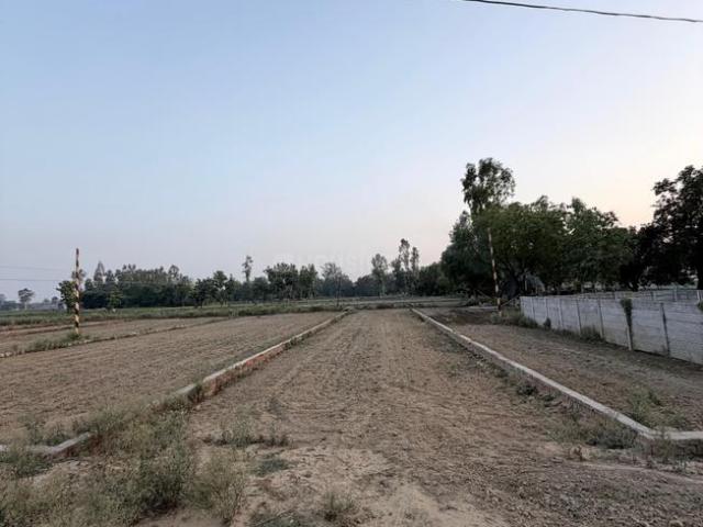 Land for sale in Barabanki