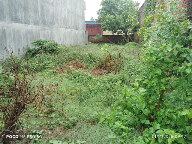 Land for sale in Varanasi, Arunachal Pradesh