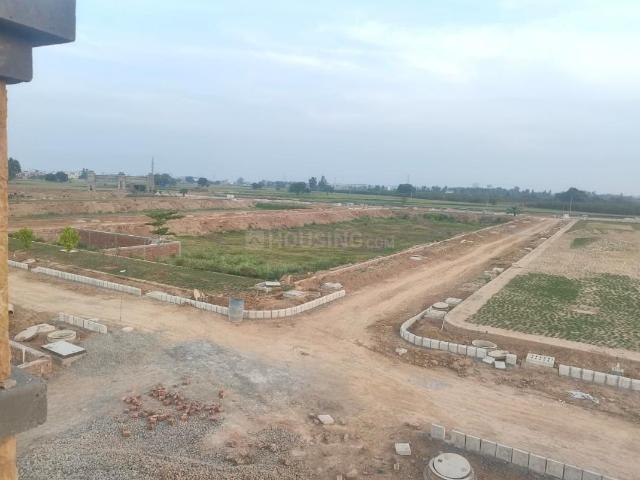 Land for sale in Tangauri, Punjab