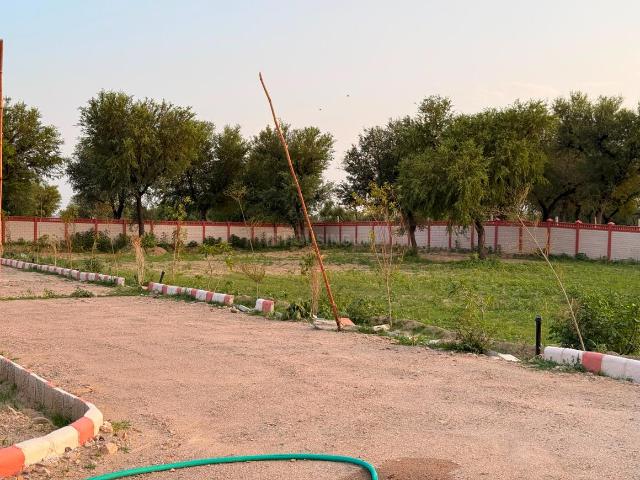 Land for sale in Pink City, Jobner