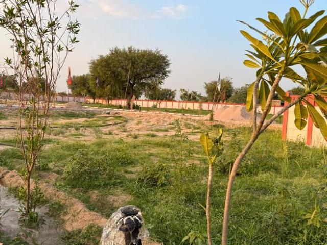 Land for sale in Jobner, Rajasthan